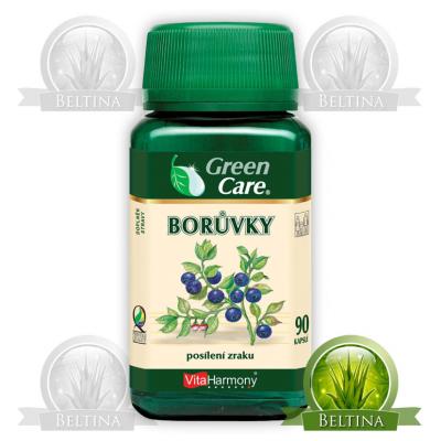 Borvky - Borvkov extrakt 40 mg, 90 kapsl